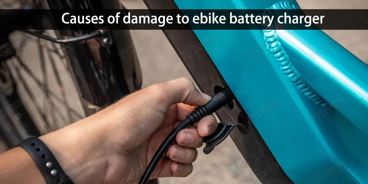 電動自行車電池充電器選擇和維護(hù)指南